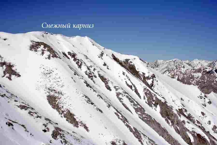 Вид нашлёпки (карниза)